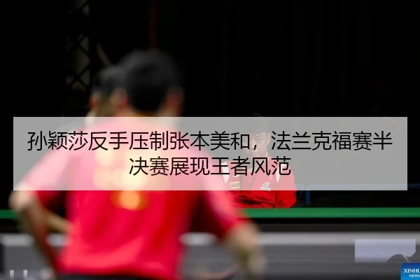 sun-ying-sha-fan-shou-ya-zhi-zhang-ben-mei-he-fa-lan-ke-fu-sai-ban-jue-sai-zhan-xian-wang-zhe-feng-fan-2-318.jpg